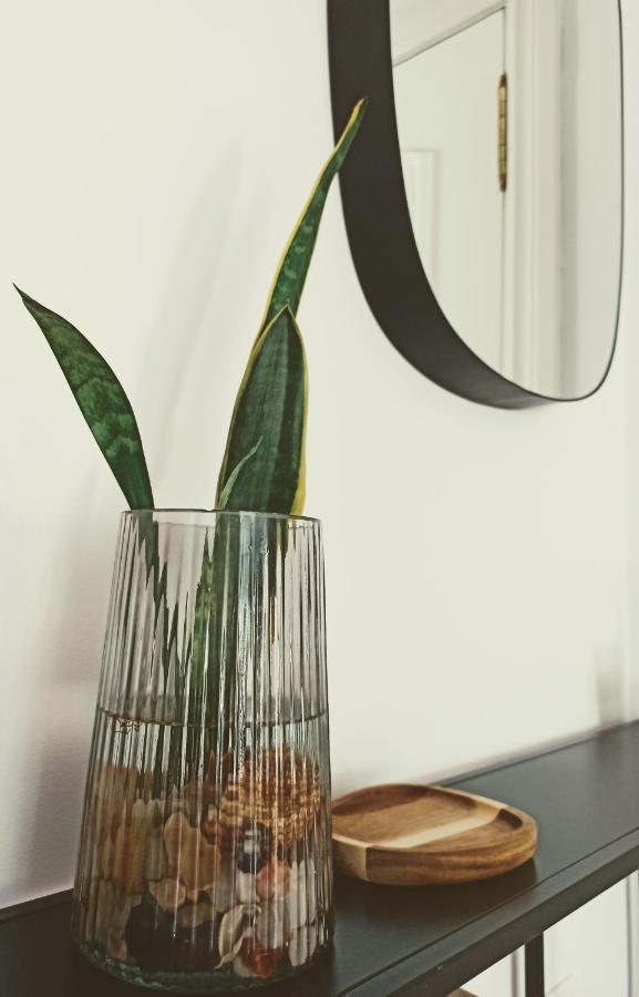 Bajo Con Jardin Privado Lejlighed Santander Eksteriør billede
